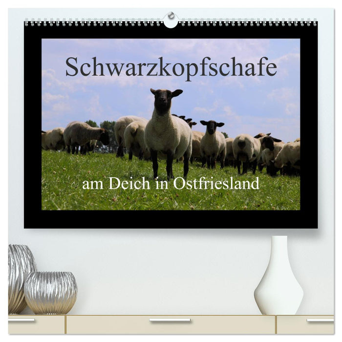 Schwarzkopfschafe am Deich in Ostfriesland (CALVENDO Premium Wandkalender 2024)