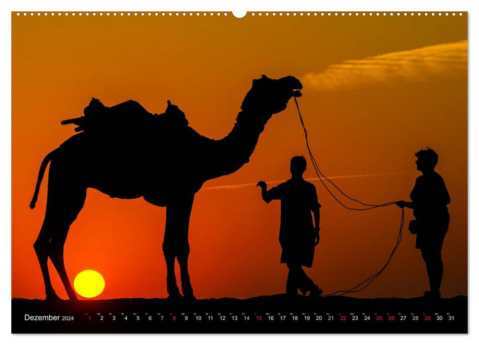 Zauberhaftes Indien (CALVENDO Wandkalender 2024)