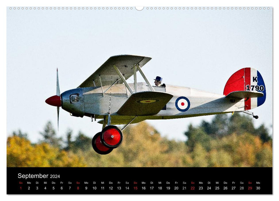 Dies und das vom Modellflugplatz (CALVENDO Wandkalender 2024)