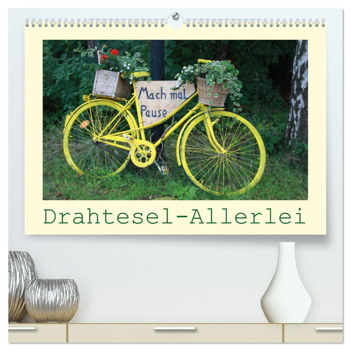 Drahtesel-Allerlei (CALVENDO Premium Wandkalender 2024)
