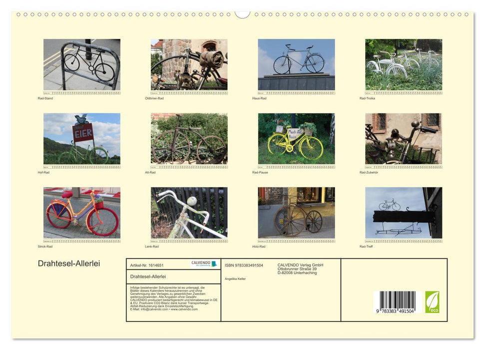 Drahtesel-Allerlei (CALVENDO Premium Wandkalender 2024)