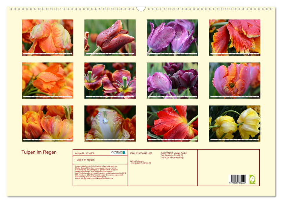 Tulips in the rain (CALVENDO wall calendar 2024) 