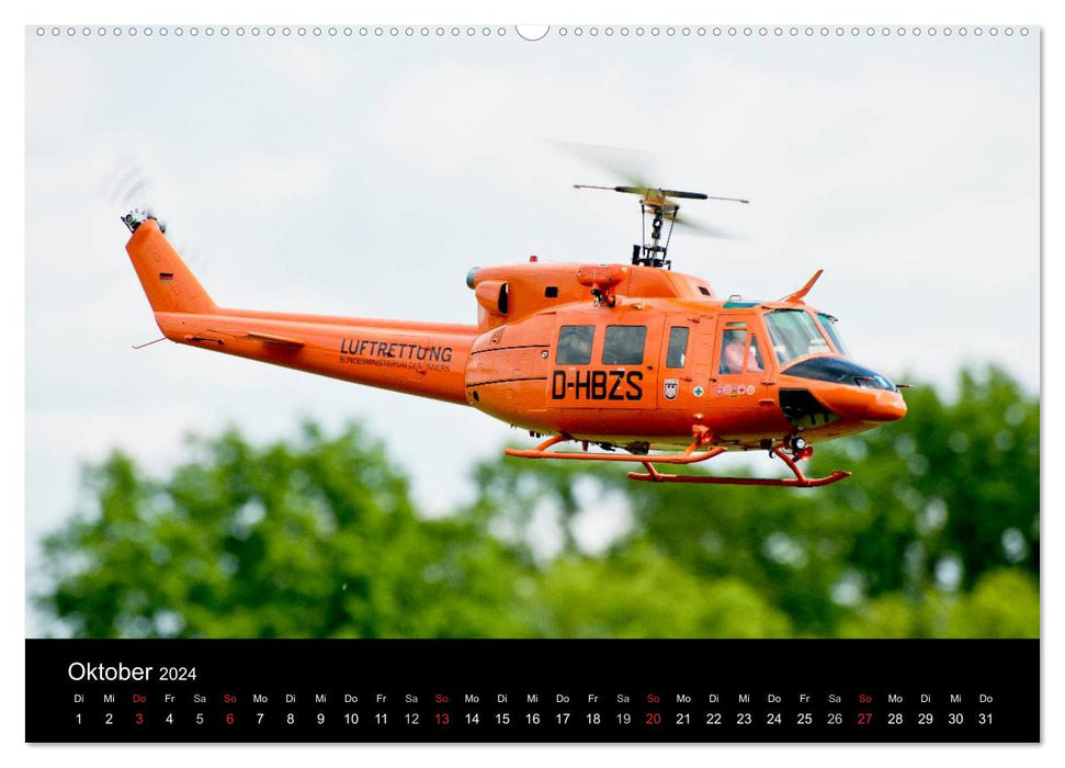 Model heli (CALVENDO wall calendar 2024) 
