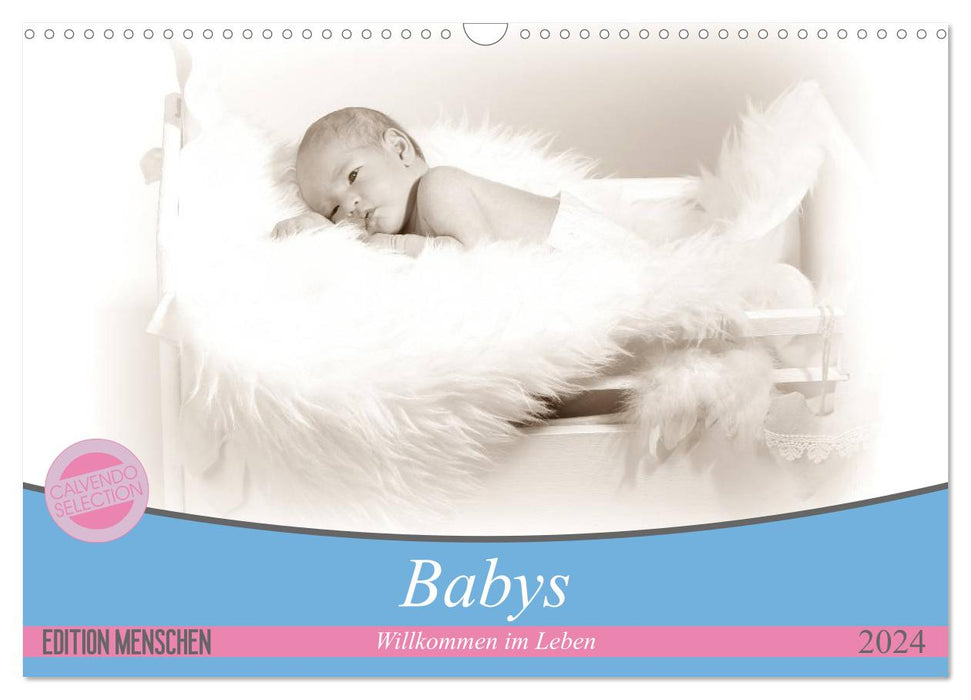 Babys - Willkommen im Leben (CALVENDO Wandkalender 2024)