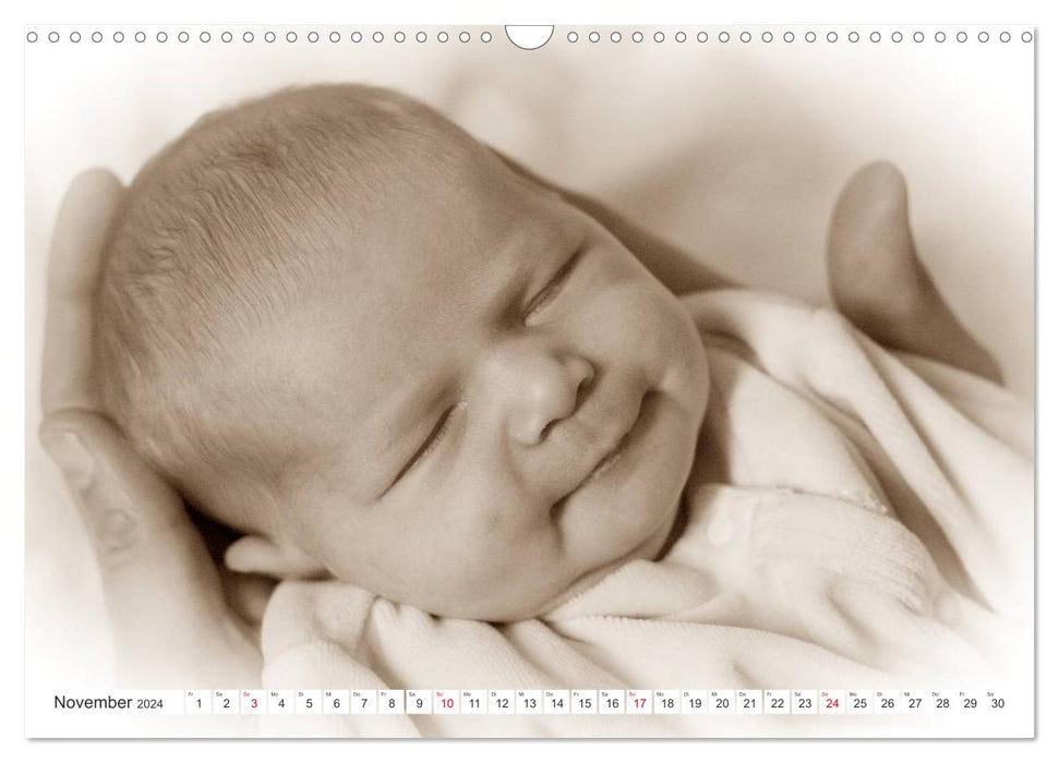 Babies - Welcome to Life (CALVENDO Wall Calendar 2024) 