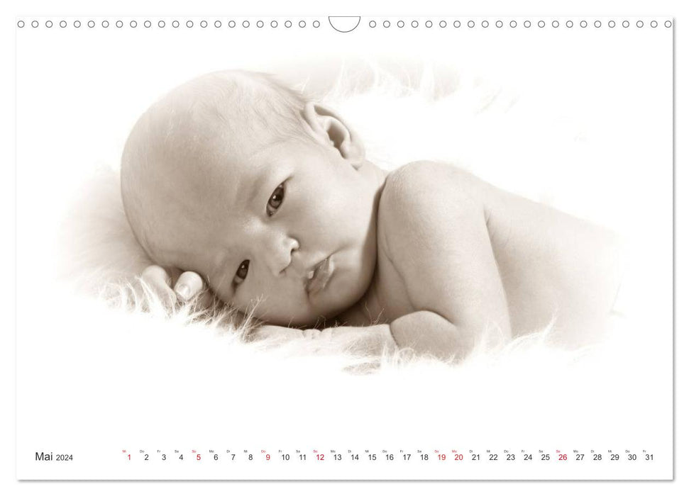 Babys - Willkommen im Leben (CALVENDO Wandkalender 2024)