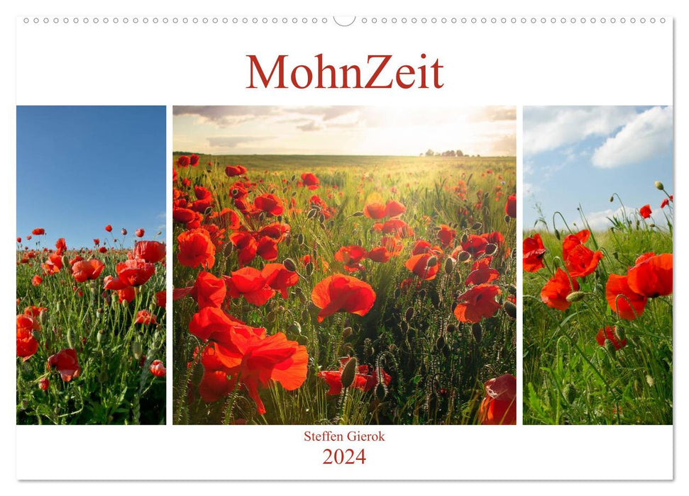 MohnZeit (CALVENDO wall calendar 2024) 