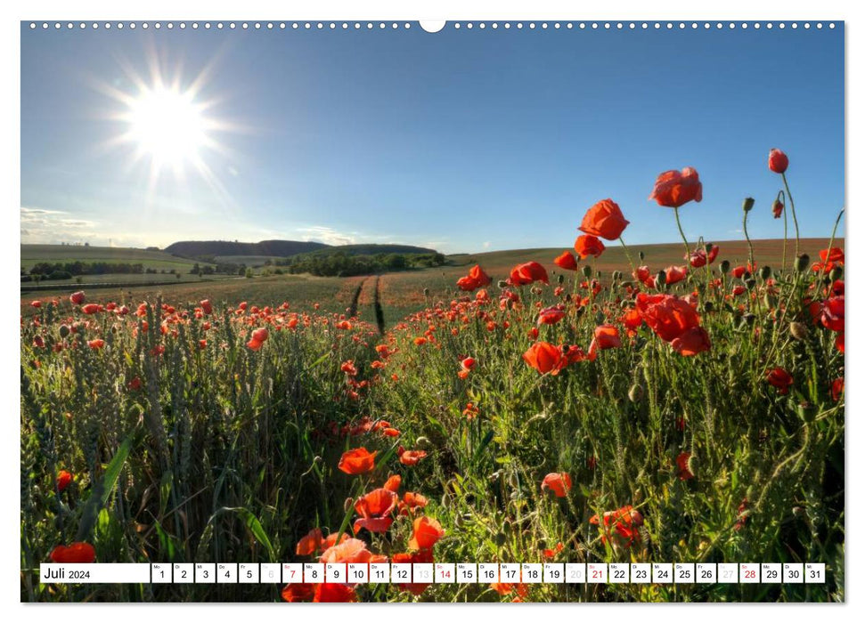 MohnZeit (CALVENDO wall calendar 2024) 