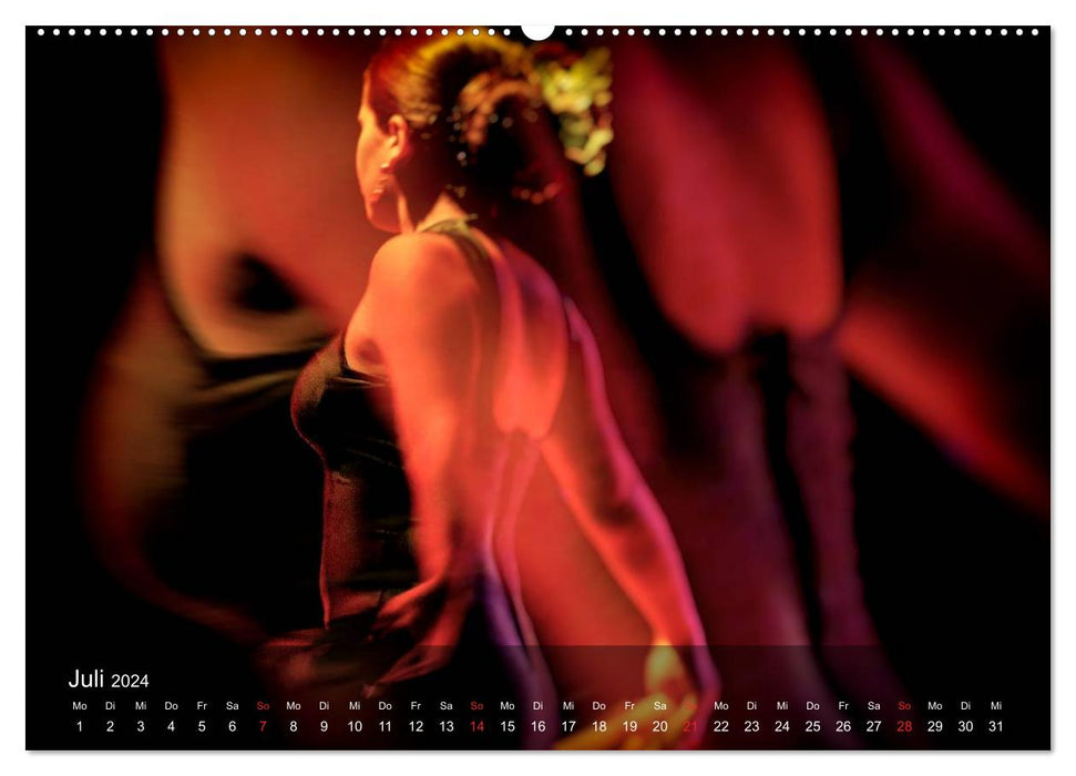 Flamenco - Danse de la Passion (Calendrier mural CALVENDO 2024) 