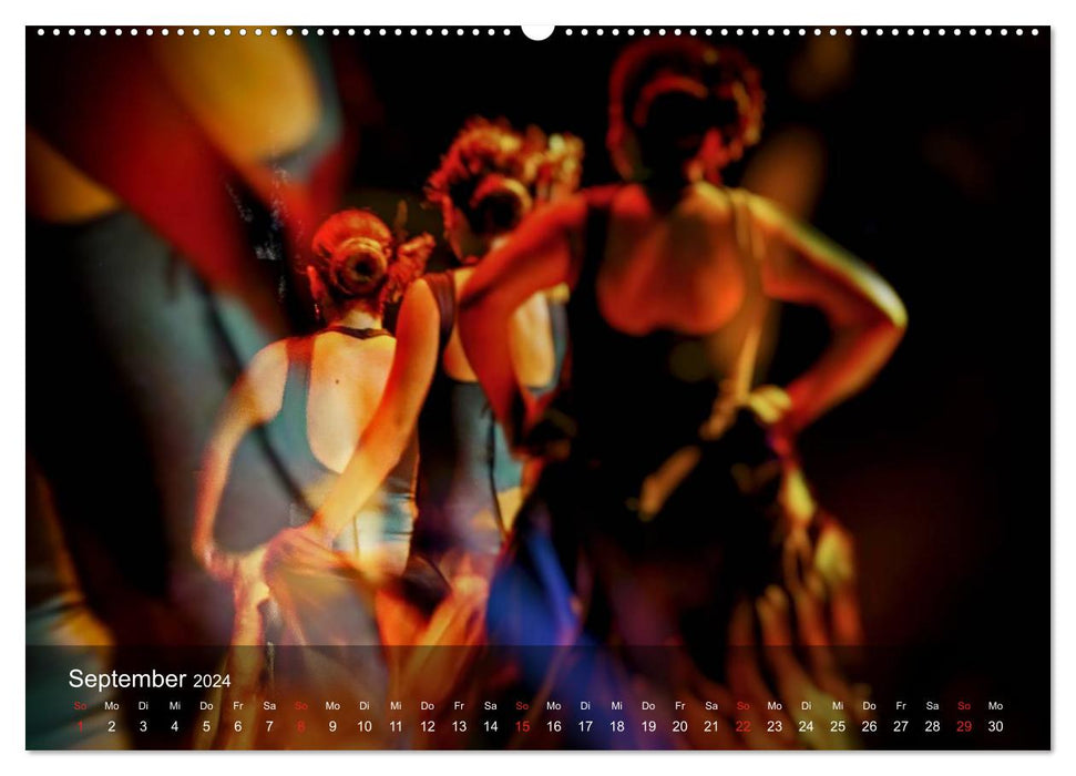 Flamenco - Danse de la Passion (Calendrier mural CALVENDO 2024) 