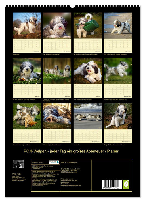 Chiots PON - chaque jour est une grande aventure / Planificateur (Calendrier mural CALVENDO Premium 2024) 