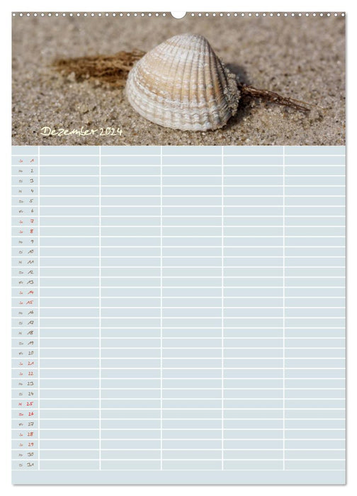 Petites beautés du sable / planificateur familial (calendrier mural CALVENDO 2024) 