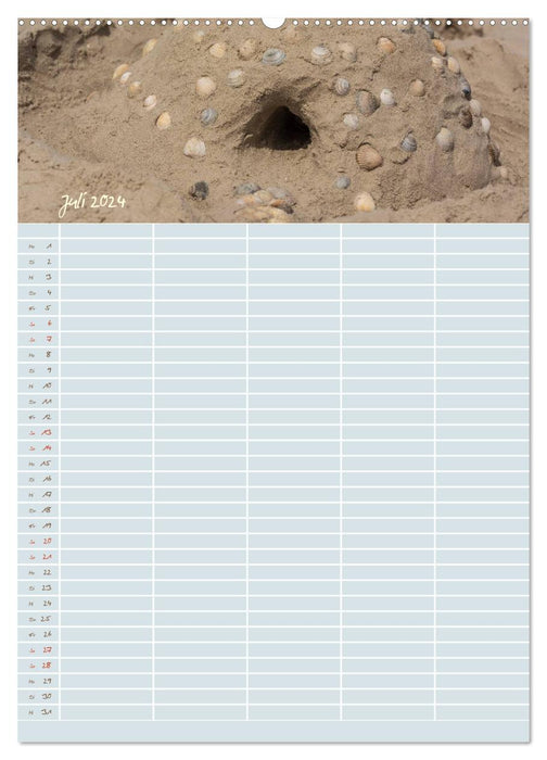 Kleine Sand-Schönheiten / Familienplaner (CALVENDO Wandkalender 2024)