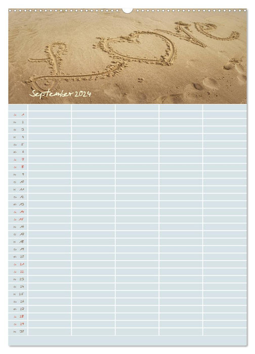 Little sand beauties / family planner (CALVENDO wall calendar 2024) 