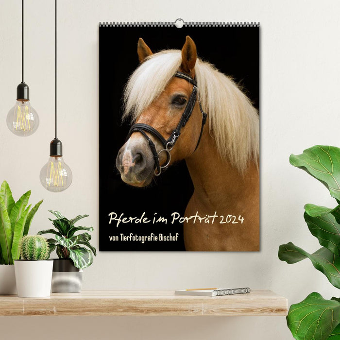 Horses in the portrait (CALVENDO wall calendar 2024) 