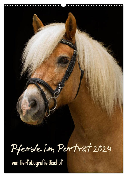 Horses in the portrait (CALVENDO wall calendar 2024) 