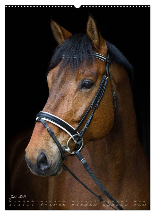 Horses in the portrait (CALVENDO wall calendar 2024) 