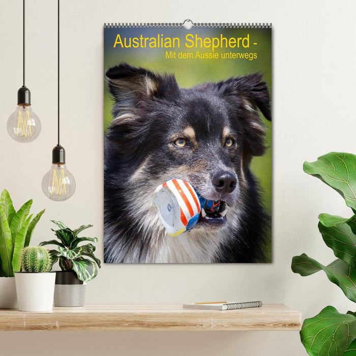 Australian Shepherd – Mit dem Aussie unterwegs (CALVENDO Wandkalender 2024)