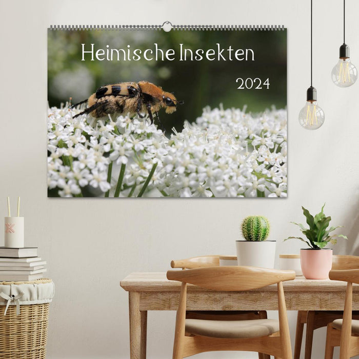 Heimische Insekten 2024 (CALVENDO Wandkalender 2024)