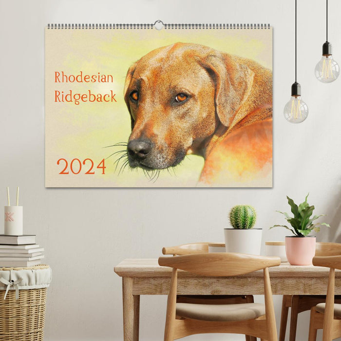 Rhodesian Ridgeback 2024 (CALVENDO wall calendar 2024) 