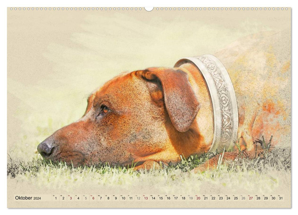 Rhodesian Ridgeback 2024 (CALVENDO Wandkalender 2024)