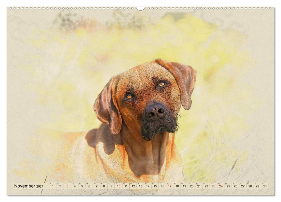 Rhodesian Ridgeback 2024 (Calendrier mural CALVENDO 2024) 