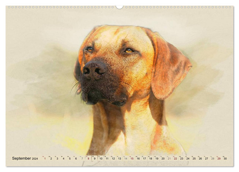 Rhodesian Ridgeback 2024 (CALVENDO Wandkalender 2024)