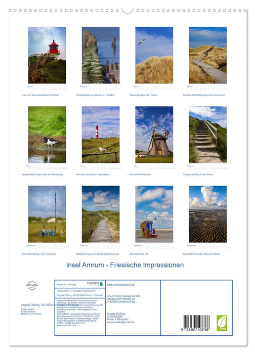 Insel Amrum - Friesische Impressionen (CALVENDO Premium Wandkalender 2024)