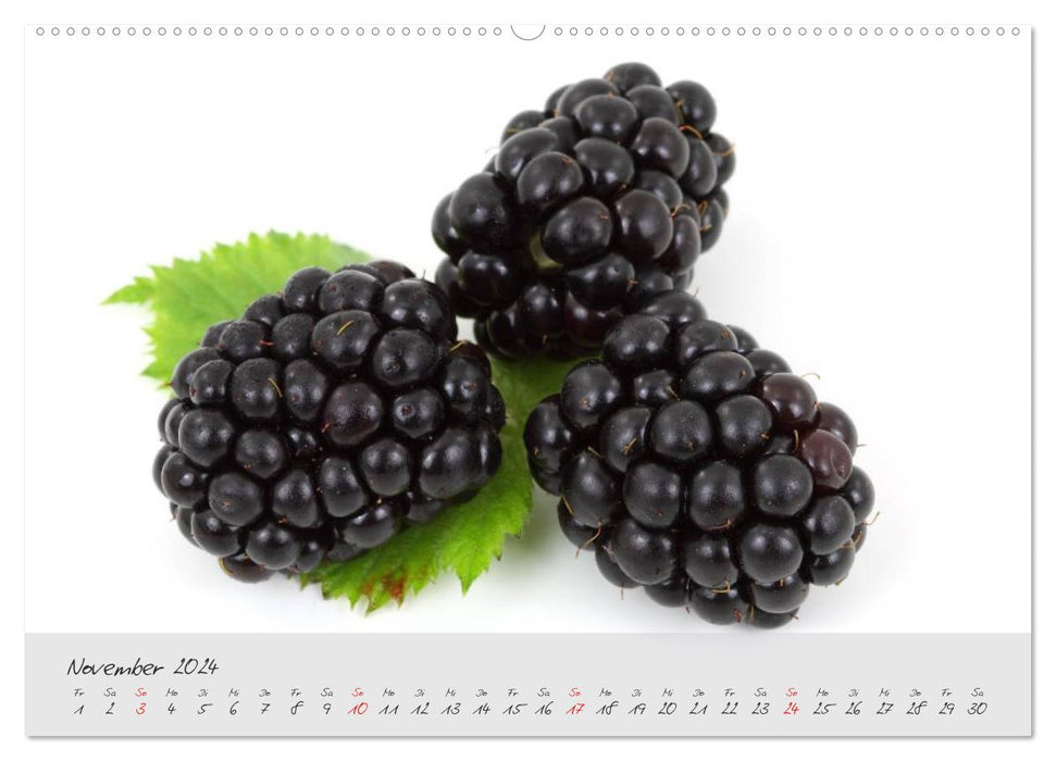 Früchte & Beeren (CALVENDO Wandkalender 2024)