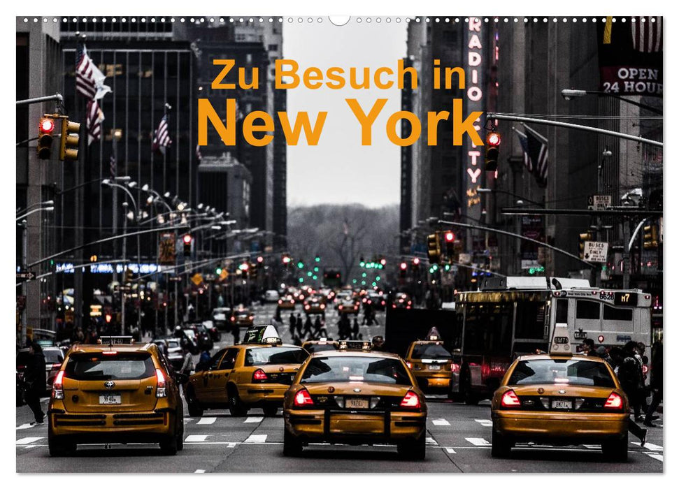 Zu Besuch in New York (CALVENDO Wandkalender 2024)