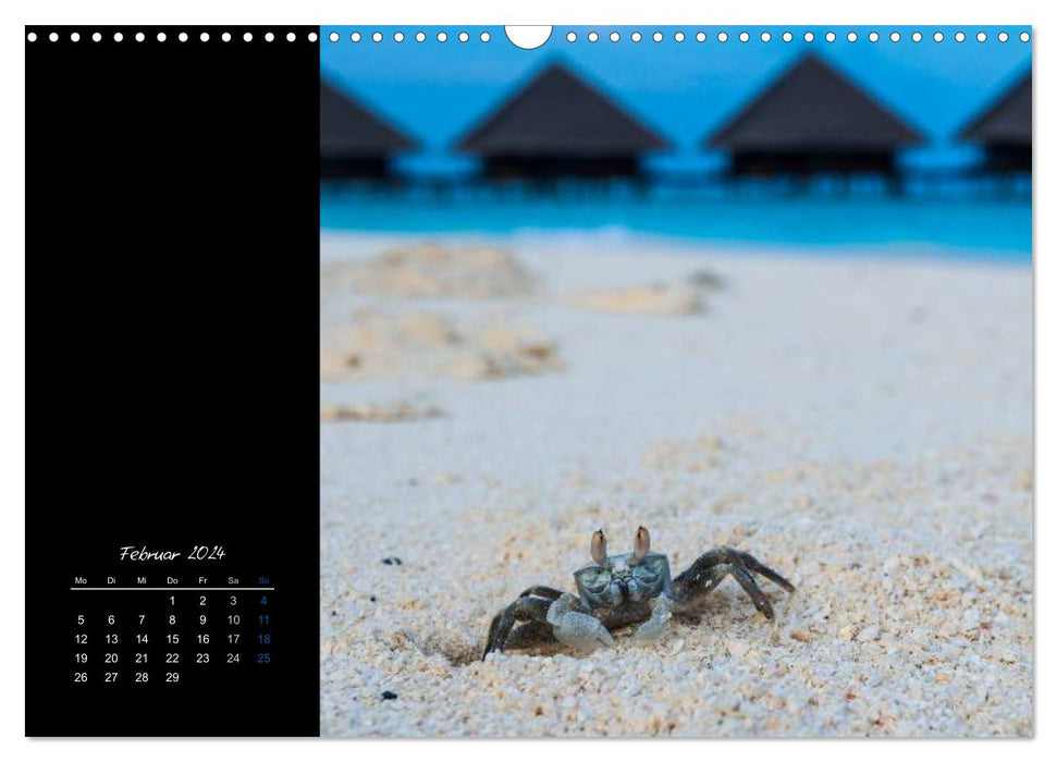 Maldives - so close to heaven (CALVENDO wall calendar 2024) 