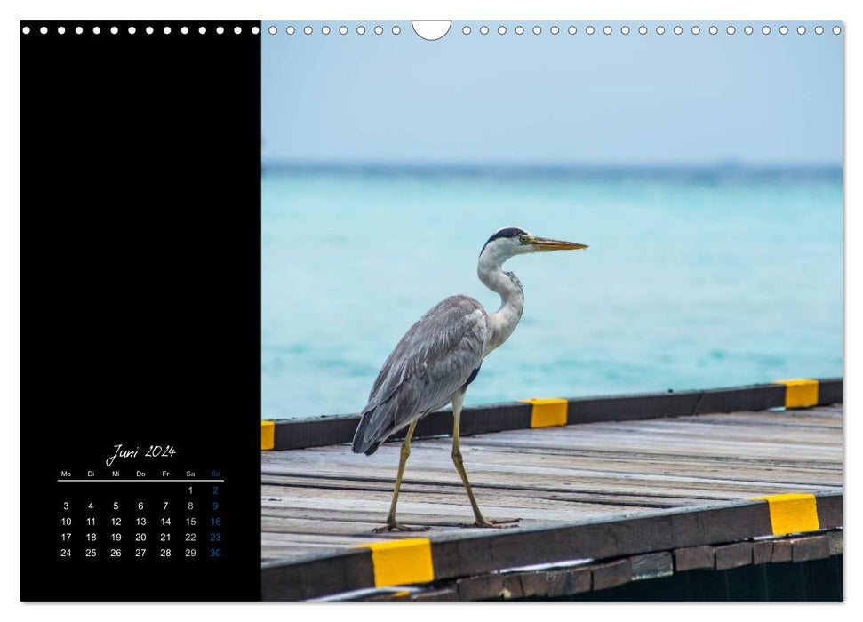 Maldives - so close to heaven (CALVENDO wall calendar 2024) 