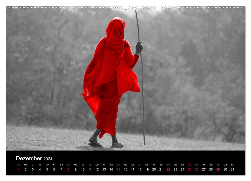 Eye-catcher in red (CALVENDO wall calendar 2024) 