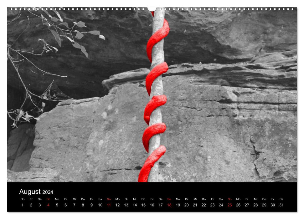 Blickfang in Rot (CALVENDO Wandkalender 2024)