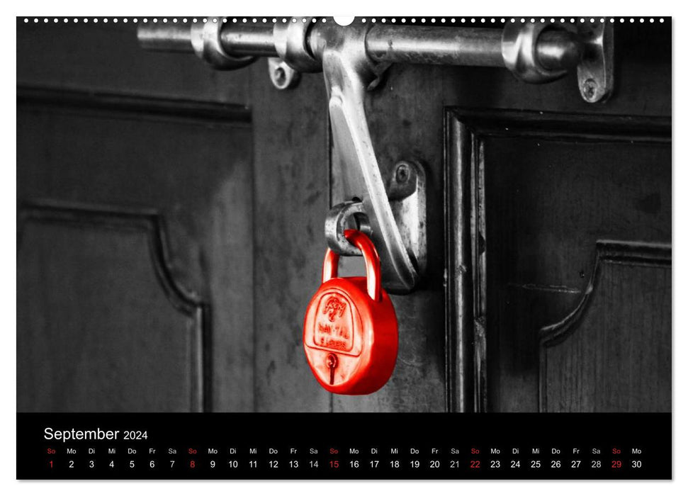 Eye-catcher in red (CALVENDO wall calendar 2024) 