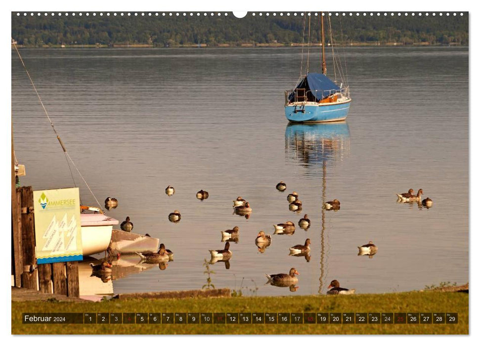 Seestärke - Der Ammersee (CALVENDO Wandkalender 2024)