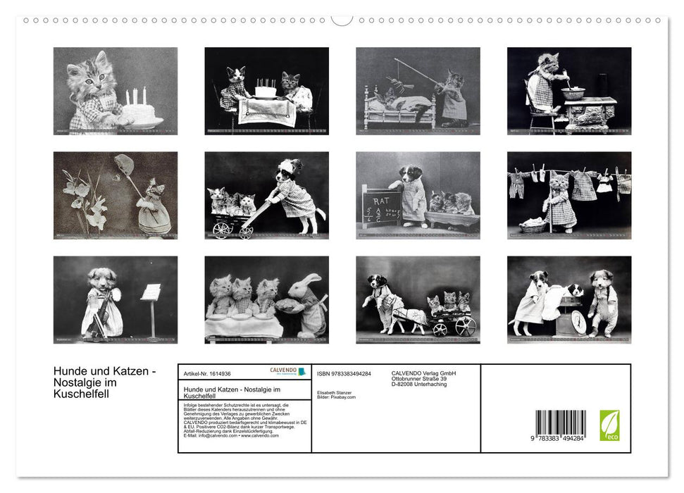 Hunde und Katzen - Nostalgie im Kuschelfell (CALVENDO Premium Wandkalender 2024)