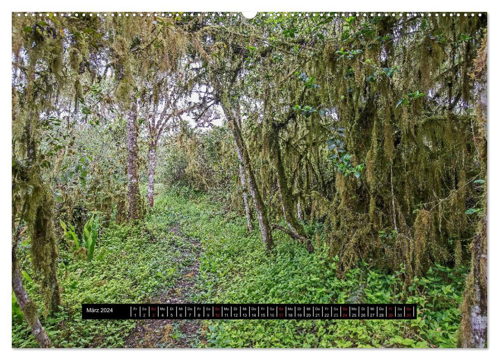 Galapagos landscapes (CALVENDO wall calendar 2024) 