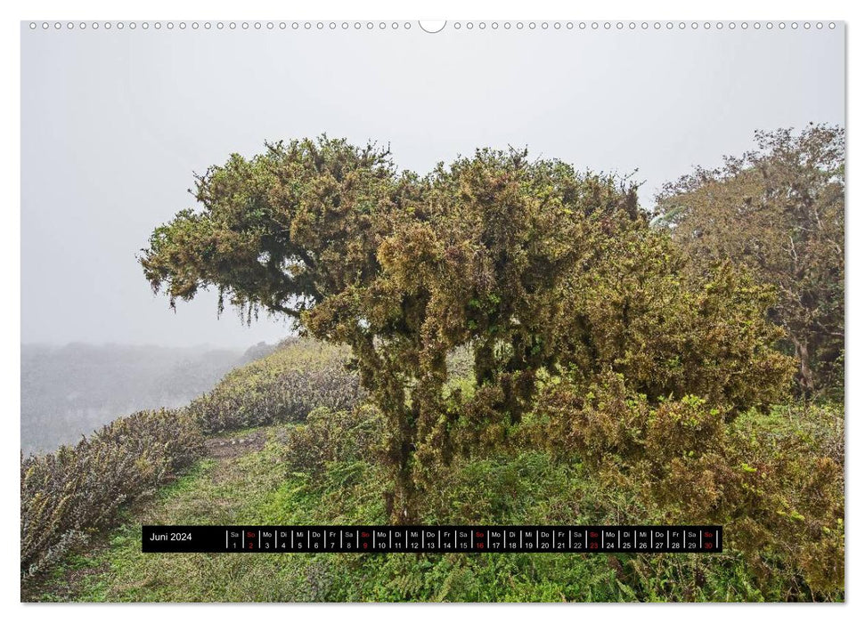 Galapagos- Landschaften (CALVENDO Wandkalender 2024)