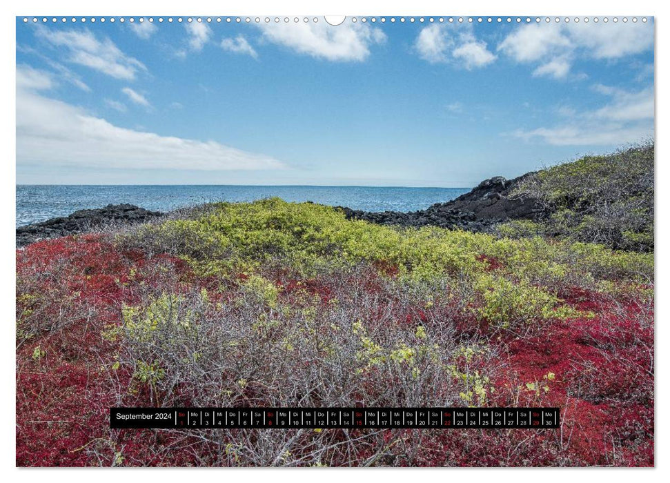 Galapagos- Landschaften (CALVENDO Wandkalender 2024)