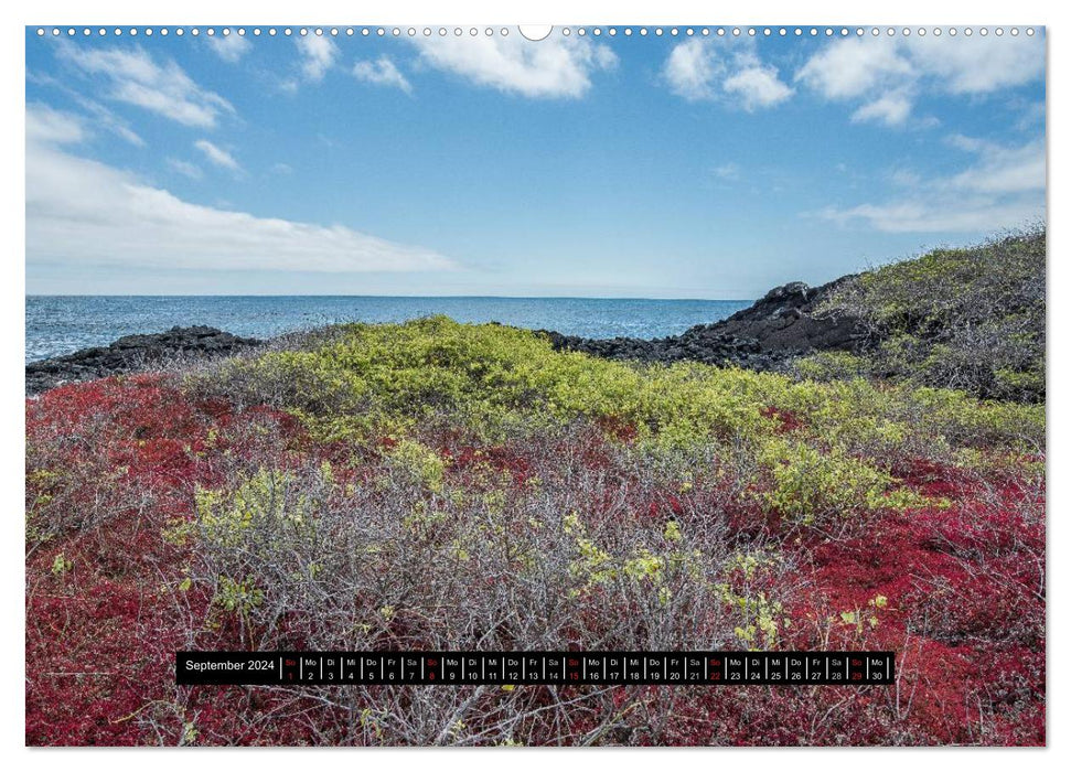 Galapagos landscapes (CALVENDO wall calendar 2024) 