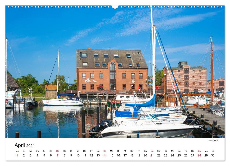 Fehmarn - "fe mer" natürlich "am Meer gelegen" (CALVENDO Premium Wandkalender 2024)