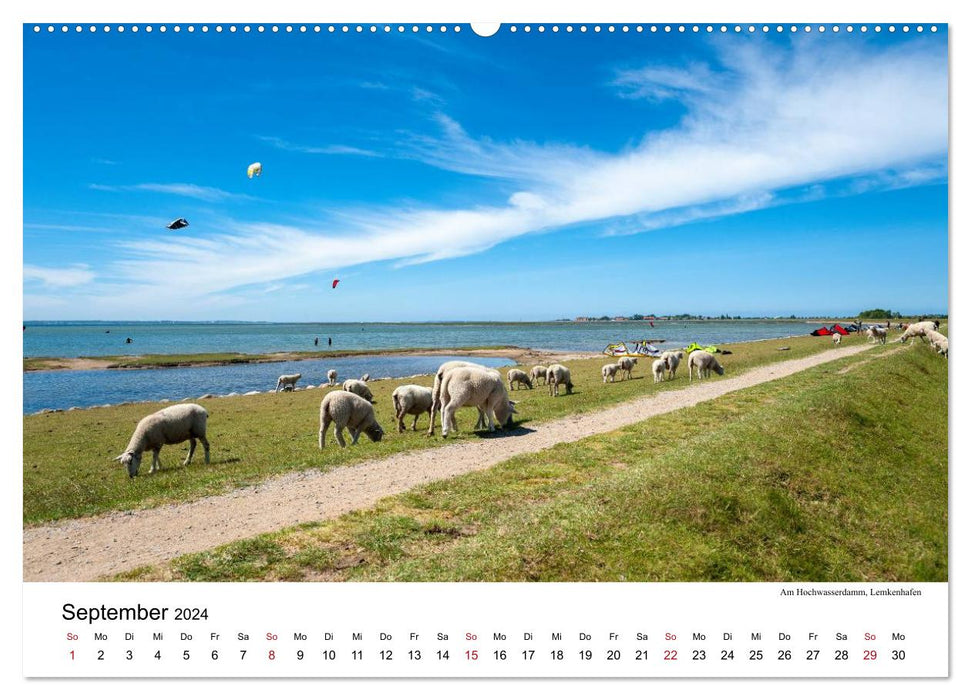 Fehmarn - "fe mer" of course "located by the sea" (CALVENDO Premium Wall Calendar 2024) 