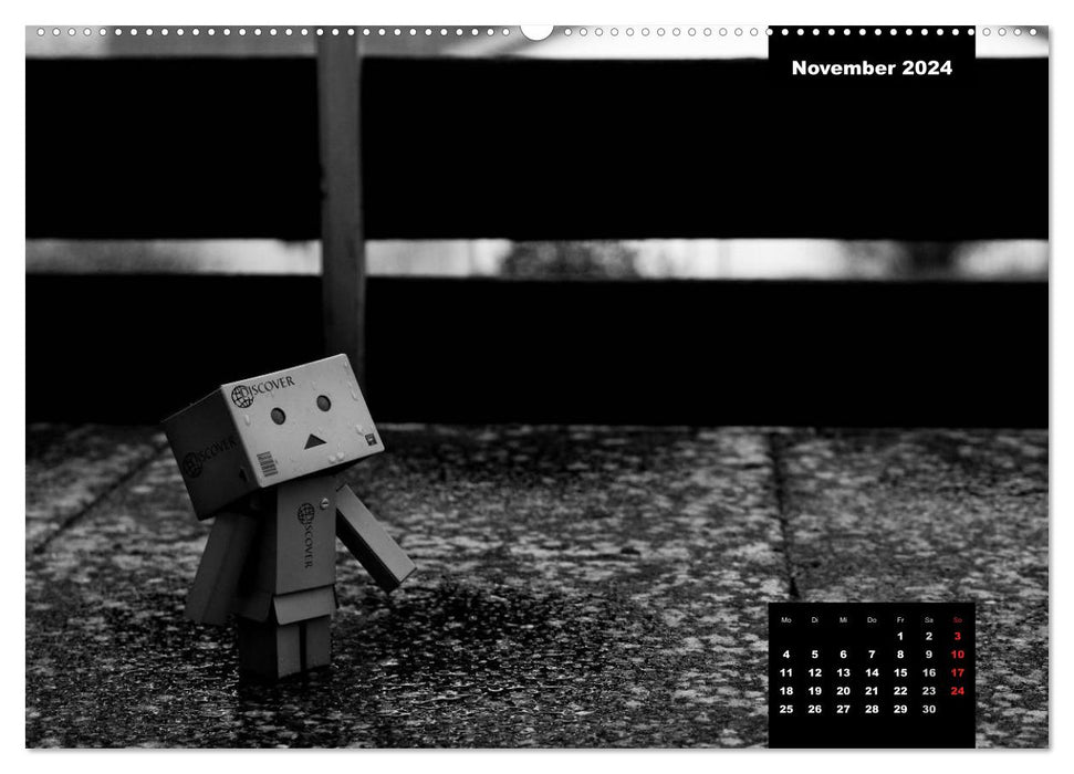 Danbo - A little hero masters his everyday life (CALVENDO wall calendar 2024) 