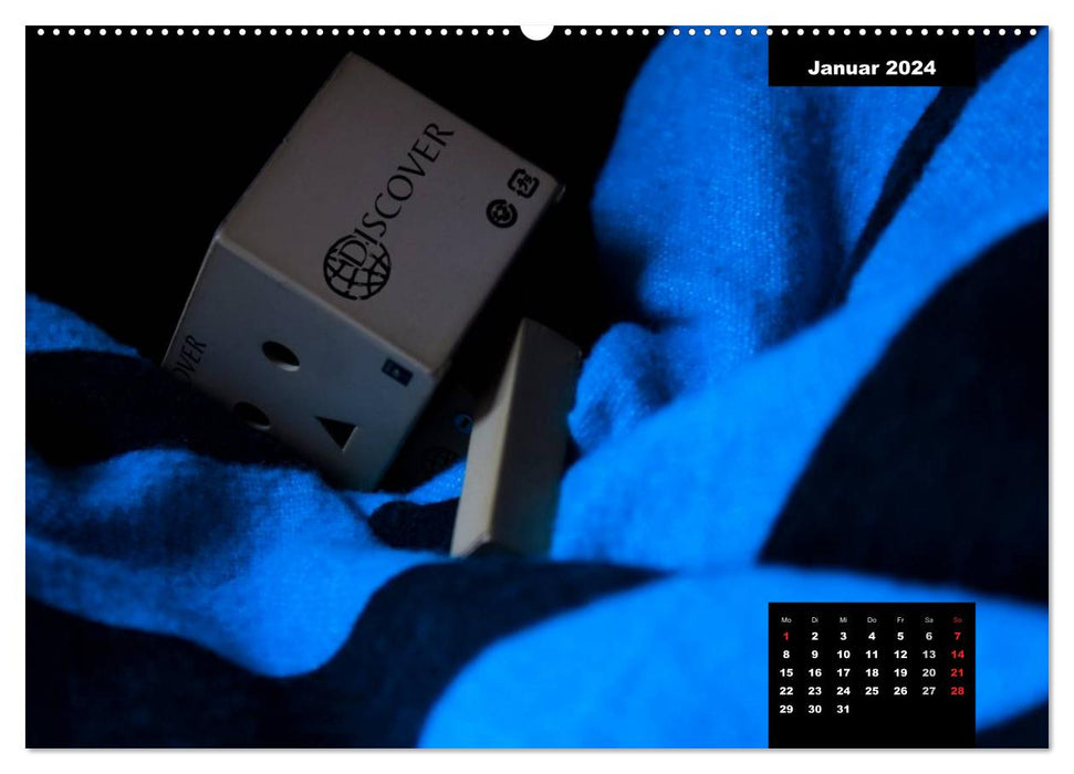 Danbo - A little hero masters his everyday life (CALVENDO wall calendar 2024) 