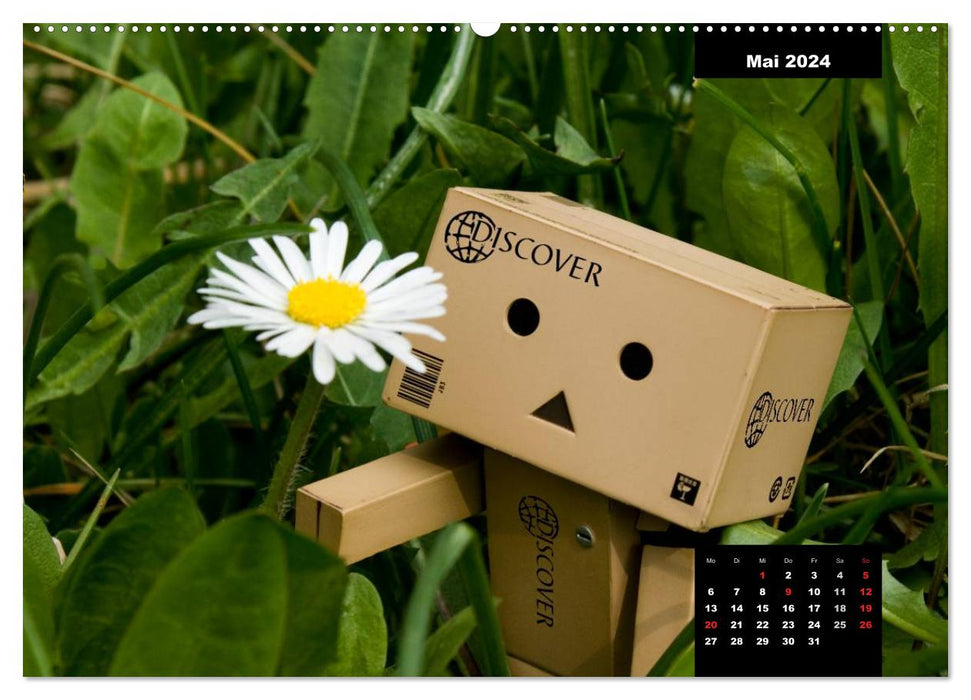 Danbo - A little hero masters his everyday life (CALVENDO wall calendar 2024) 