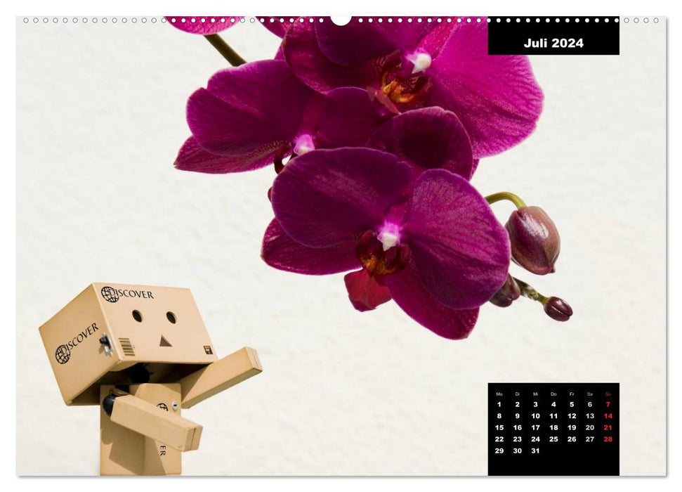 Danbo - A little hero masters his everyday life (CALVENDO wall calendar 2024) 