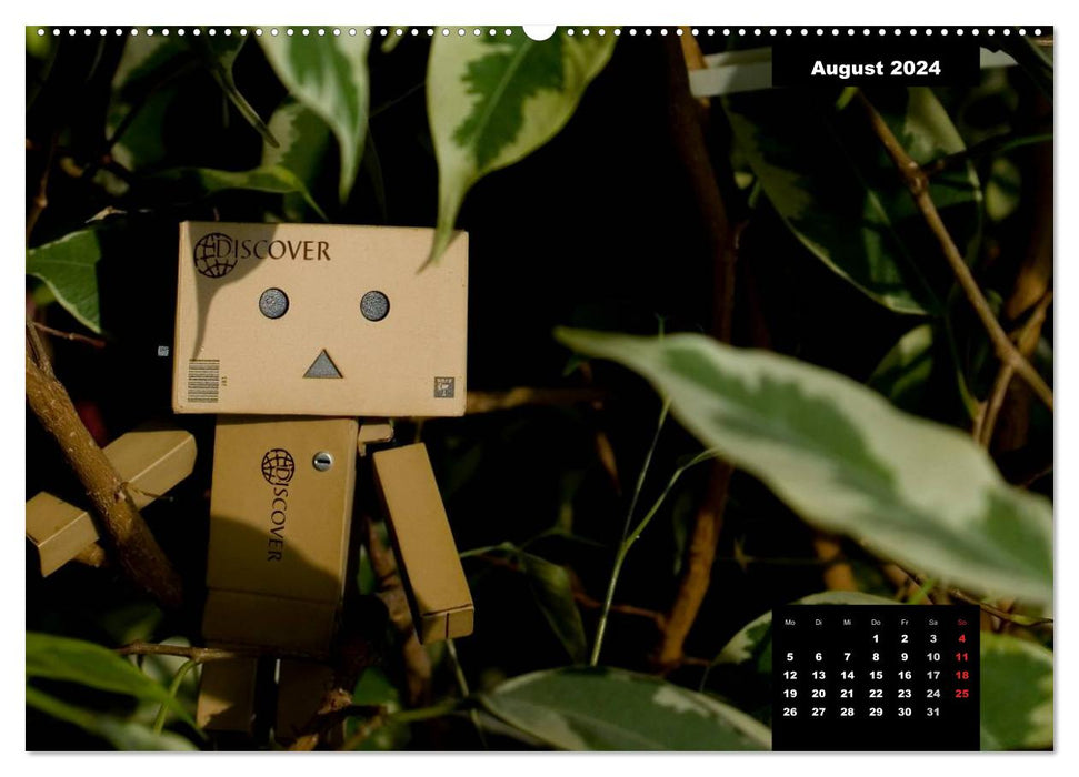 Danbo - A little hero masters his everyday life (CALVENDO wall calendar 2024) 