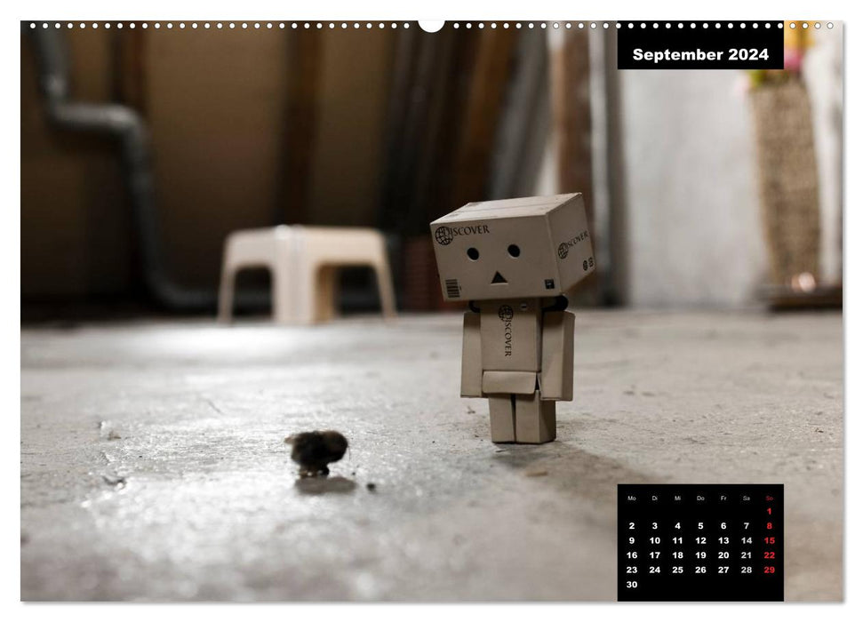 Danbo - A little hero masters his everyday life (CALVENDO wall calendar 2024) 