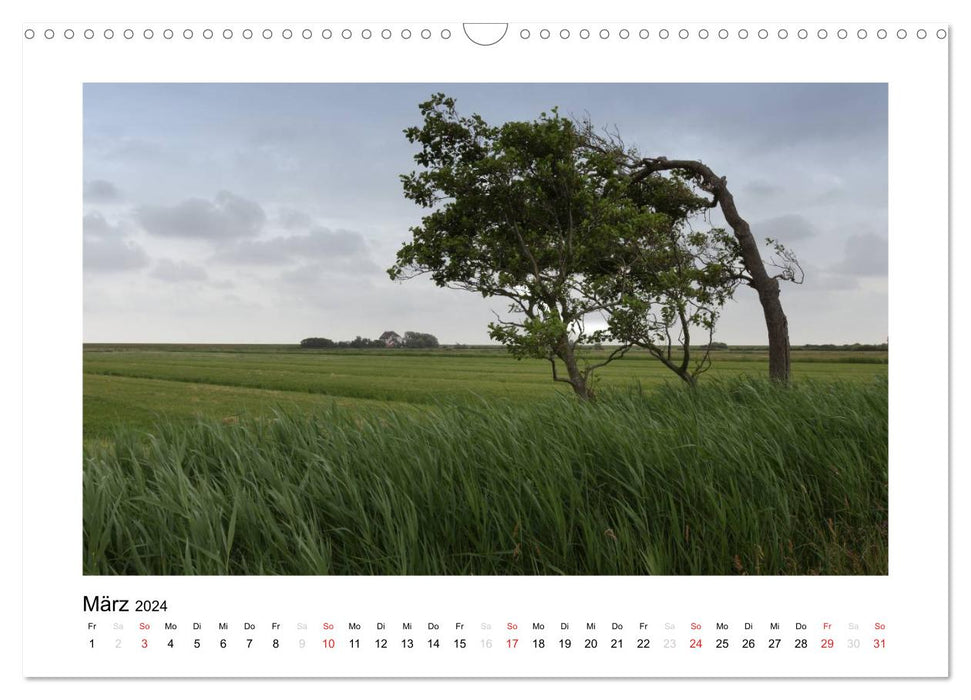 The beautiful island of Neuwerk (CALVENDO wall calendar 2024) 